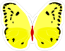 Black Spotted Yellow Butterfly Sticker