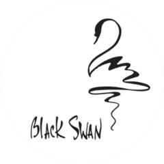 Black Swan Metaphor Graphics And Lettering Sticker