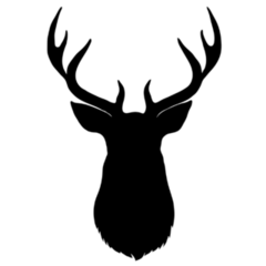 Black Vector Silhouette Of Deers Head With Antlers