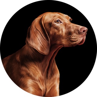 Black Vizsla Circle Sticker