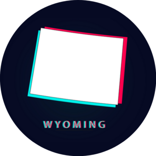 Black Wyoming Map Glitch Sticker