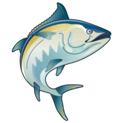 Blackfin Tuna Jumping Illustration Sticker