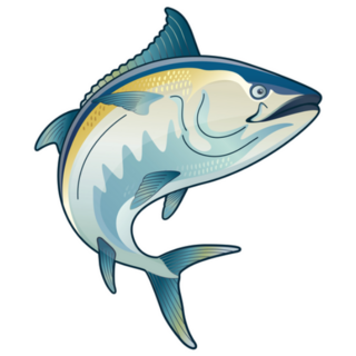 Blackfin Tuna Jumping Illustration Sticker