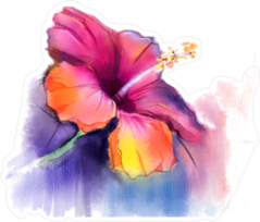 Bleeding Paint Watercolor Hibiscus Sticker