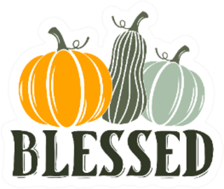 Blessed Thanksgiving Illustration Of Pumpkins Sticker