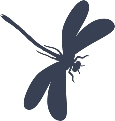 Blissful Dragonfly Sticker