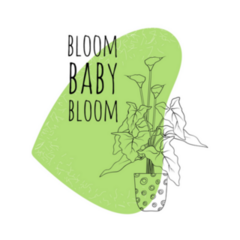 Bloom Baby Bloom Sticker