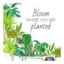Bloom Where You Are Planted Indoor Plants Inspired Sticker