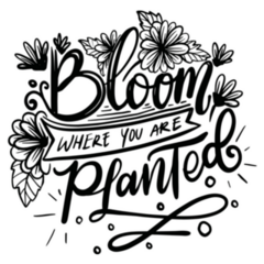 Bloom Where You Planted Garden Lettering Sticker
