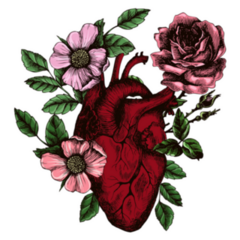Blooming Floral Anatomical Heart Illustration Sticker