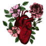 Blooming Floral Anatomical Heart Illustration Sticker