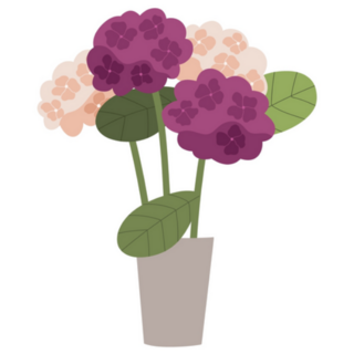 Blooming Hydrangea Flowers in Pot Sticker