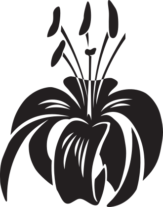 Blooming Lily Flower Sticker