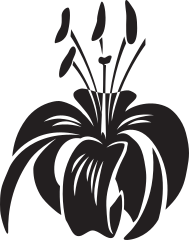 Blooming Lily Flower Sticker