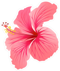 Blooming Pink Hibiscus Sticker