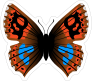Blue and Orange Butterfly Sticker