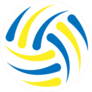 Blue And Yellow Abstract Volleyball Ball Sticker