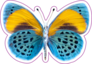 Blue and Yellow Butterfly Sticker