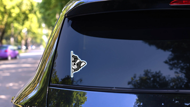 Blue Border Collie Peek Sticker on a Rear Car Window (New) example