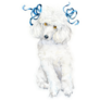 Blue Bow Poodle Sticker