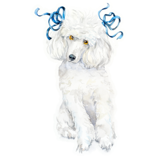 Blue Bow Poodle Sticker