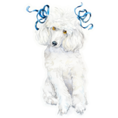 Blue Bow Poodle Sticker