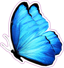 Blue Butterfly Side View Sticker