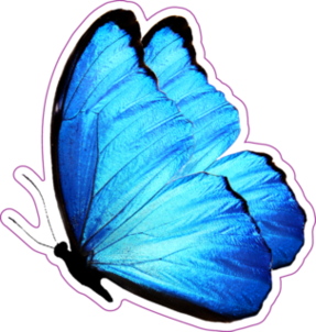 Blue Butterfly Side View Sticker