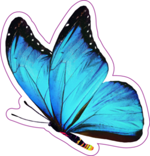 Blue Butterfly Sticker