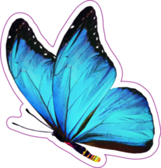 Blue Butterfly Sticker