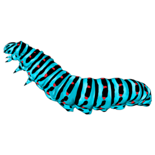 Blue Caterpillar Crawling Detailed Sketch Sticker
