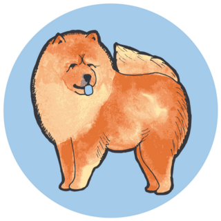 Blue Circle Chow Chow Sticker
