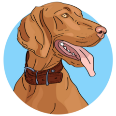 Blue Circle Vizsla Sticker
