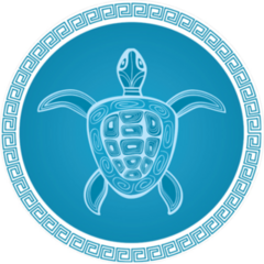 Blue CircleTurtle Sticker