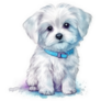 Blue Collar Maltese Sticker