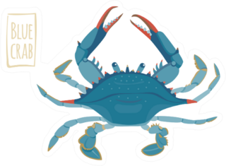 Blue Crab Illustration With Lettering Sticker