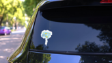 Blue Daisies Bouquet Illustration Sticker on a Rear Car Window (New) example