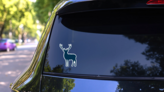 Blue Deer Vector Sticker on a Rear Car Window (New) example