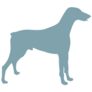 Blue Doberman Silhouette Sticker