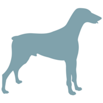 Blue Doberman Silhouette Sticker