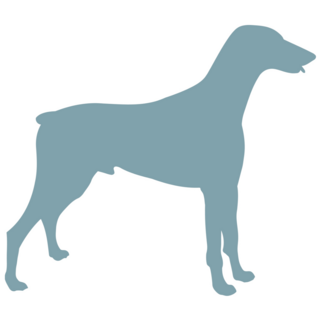 Blue Doberman Silhouette Sticker