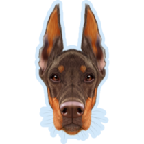 Blue Doberman Sticker