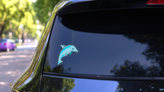 Blue Dolphin Mascot Sticker on a Rear Car Window (New) example