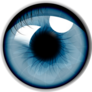 Blue Eye Up Close Sticker
