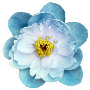 Blue Flower Sticker