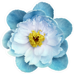 Blue Flower Sticker