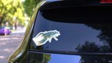 Blue Fresh Water Sticker on a Rear Car Window (New) example