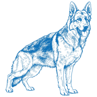 Blue German Shepherd Sticker