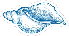 Blue Hand Drawn Drill Shell Sticker