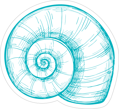 Blue Hand Drawn Nautilus Sticker